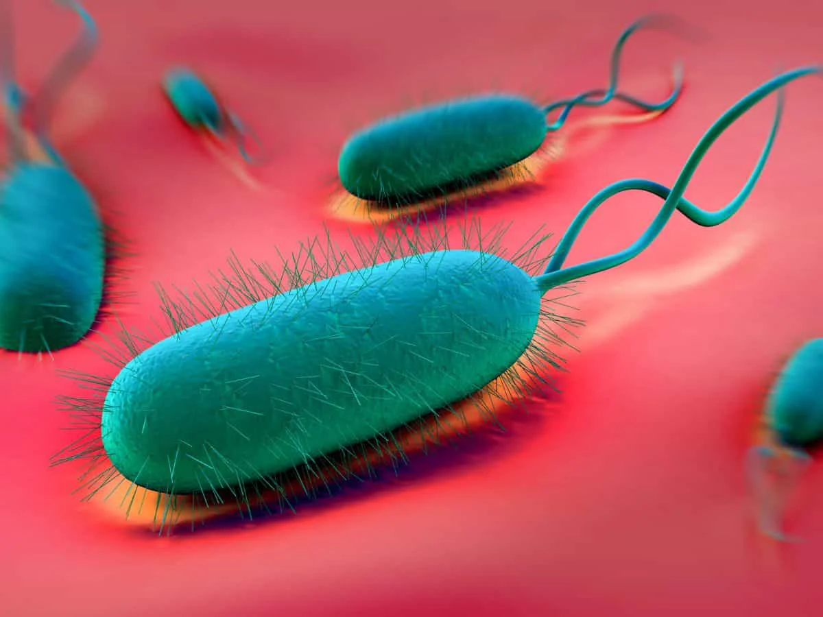 H. Pylori Infection.