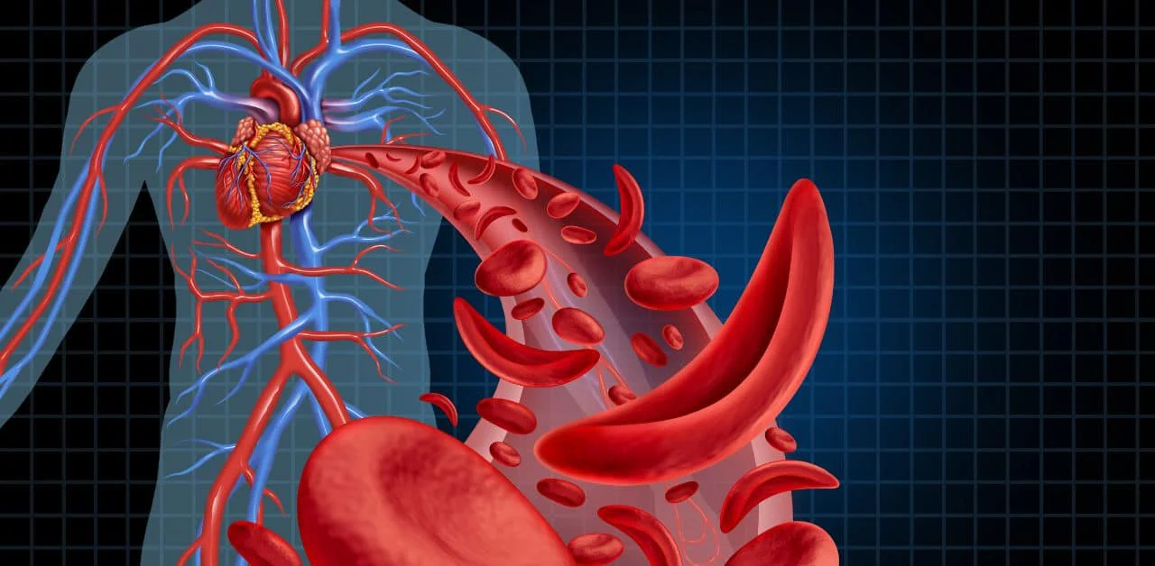 heart health and metabolic dysfunction.